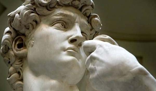 Google Arts &amp; Culture, la Storia Naturale come non l’avete mai vista