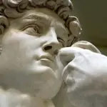 Google Arts &amp; Culture, la Storia Naturale come non l’avete mai vista