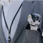 Smartphone RoboHon, l'adorabile Robot Phone tascabile