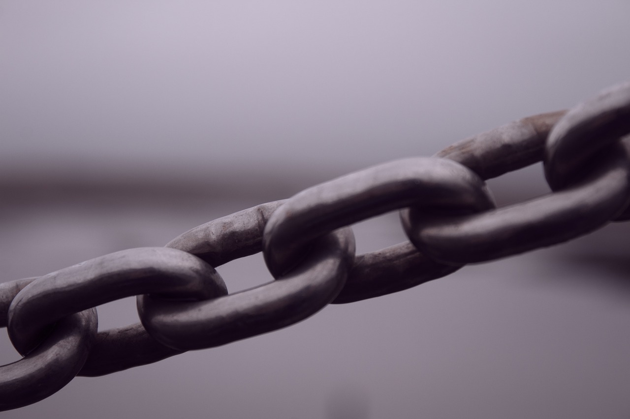 Cos'è la link building e come può esserti utile