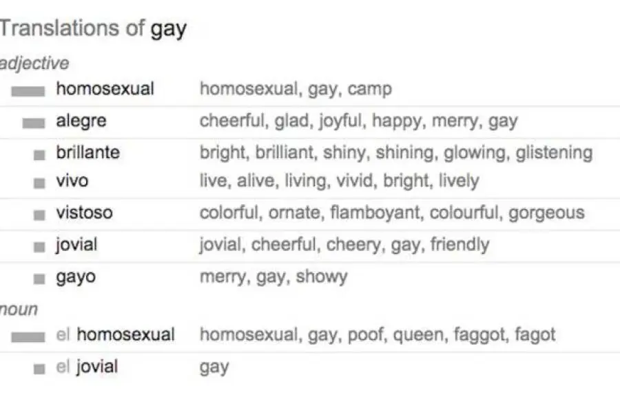 Ecco come Google Translate insulta i Gay
