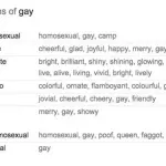 Ecco come Google Translate insulta i Gay